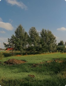 Земля